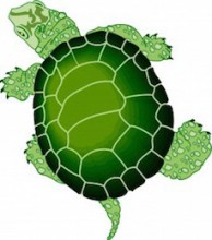 THE FAST TURTLE
