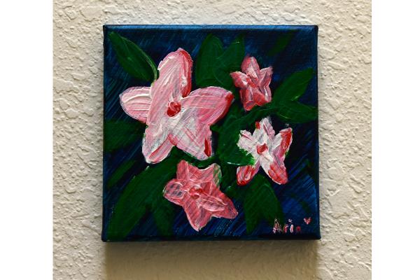Oleander Blossoms picture