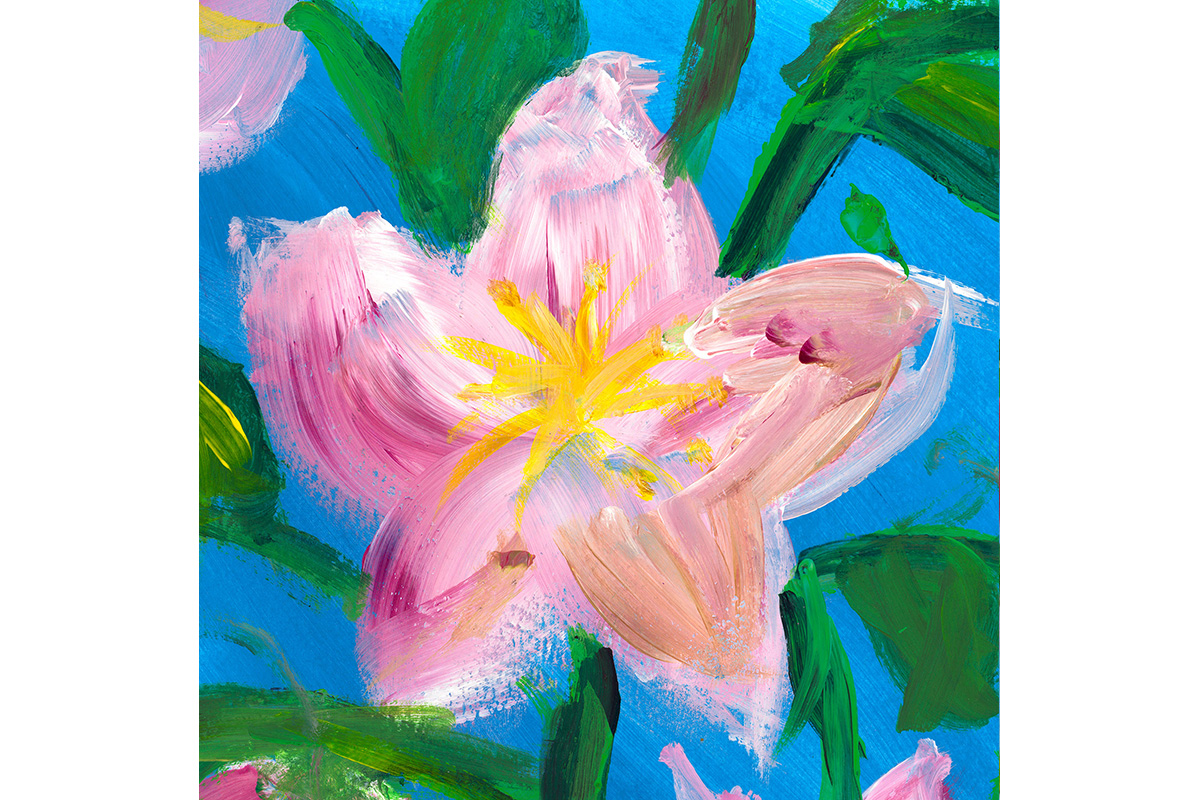 Cherry Blossoms fine art print picture