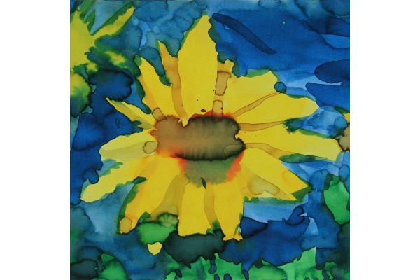 Sunflower fine art print