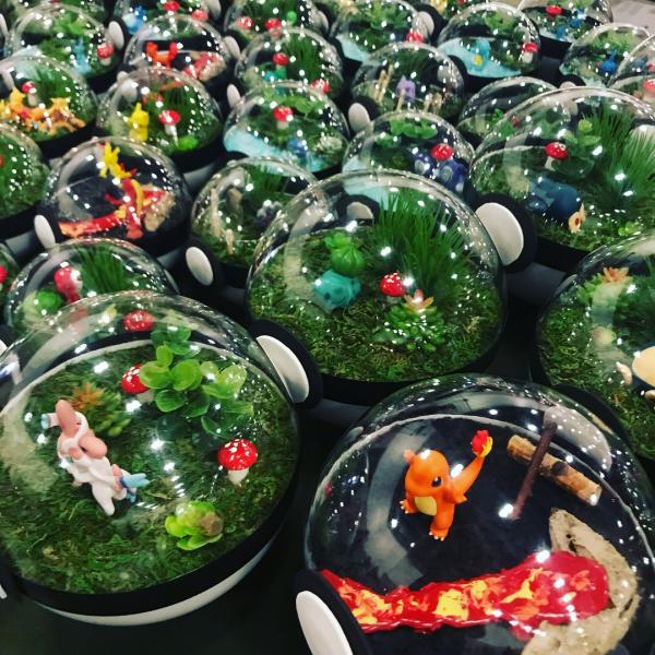 Any Pokemon and Scenery Pokeball Terrarium picture