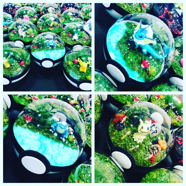 Any Pokemon and Scenery Pokeball Terrarium picture