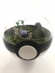 Haunter Small Pokeball Terrarium