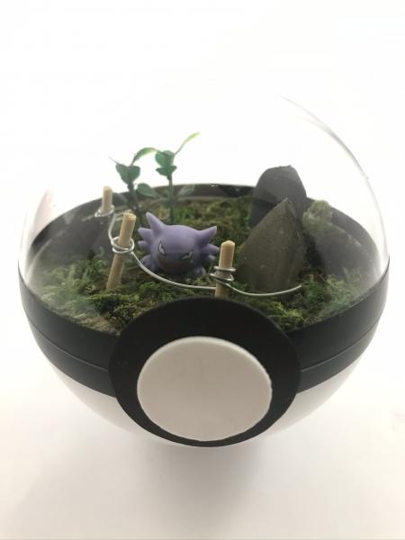 Haunter Small Pokeball Terrarium