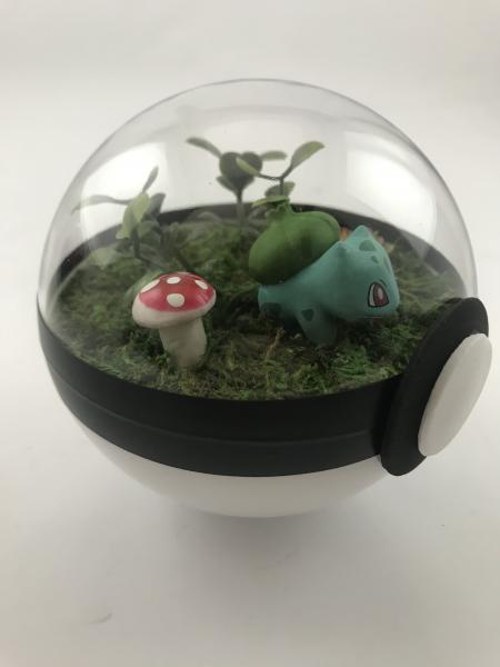 Bulbasaur Small Pokeball Terrarium picture