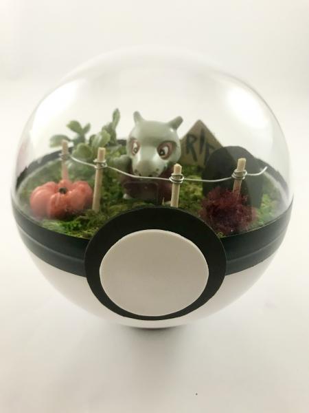 Cubone Cemetary Large Pokeball Terrarium picture