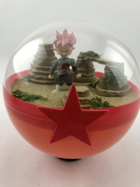 Super Saiyan Rose Goku Black Dragonball Super Terrarium picture