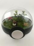 Eevee Small Pokeball Terrarium