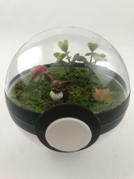 Eevee Small Pokeball Terrarium