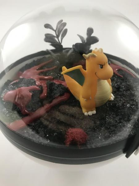 Dragonite Fire Large Pokeball Terrarium picture