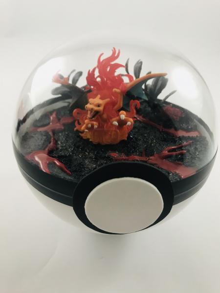 Charizard Large Fire Pokeball Terrarium picture