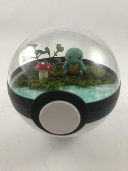 Squirtle Small Water Pokeball Terrarium picture