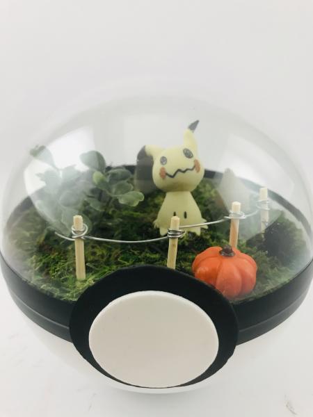 Mimikyu Cemetery Large Pokeball Terrarium