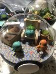 Drunken Kanto Starter Marriott Carpet Pokeball Terrarium