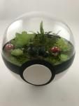 Sleeping Umbreon Large Pokeball Terrarium