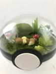 Sleeping Eevee Large Pokeball Terrarium