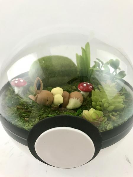 Sleeping Eevee Large Pokeball Terrarium picture