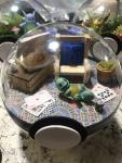 Drunken Squirtle Marriott Carpet Pokeball Terrarium