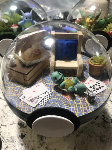 Drunken Squirtle Marriott Carpet Pokeball Terrarium picture