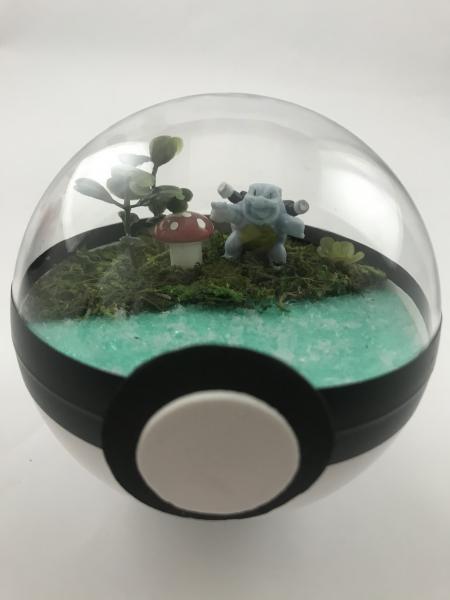 Blastoise Small Water Pokeball Terrarium picture