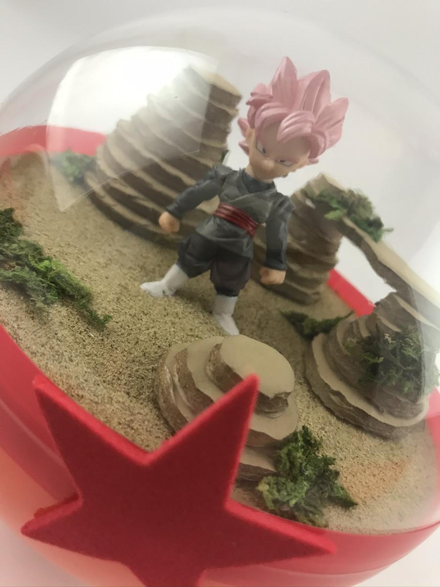 Super Saiyan Rose Goku Black Dragonball Super Terrarium picture