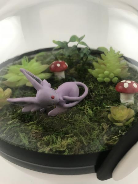 Sleeping Espeon Large Pokeball Terrarium picture