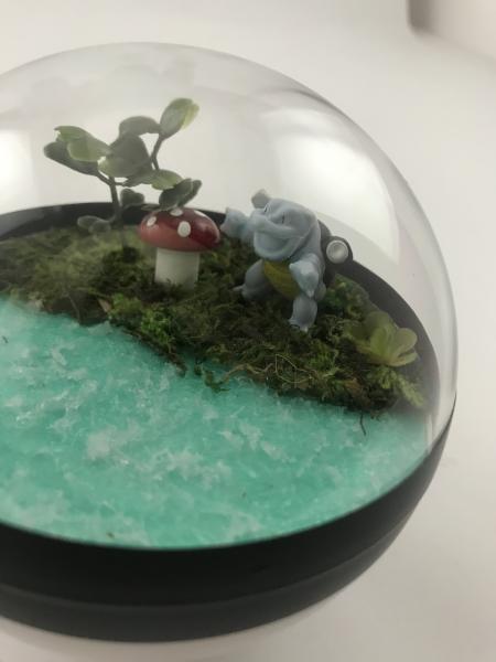 Blastoise Small Water Pokeball Terrarium picture