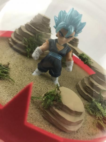 Super Saiyan Blue Vegito Dragonball Super Terrarium picture