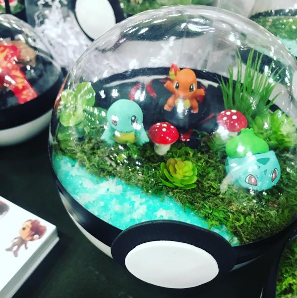 Kanto Starter Pokemon Terrarium