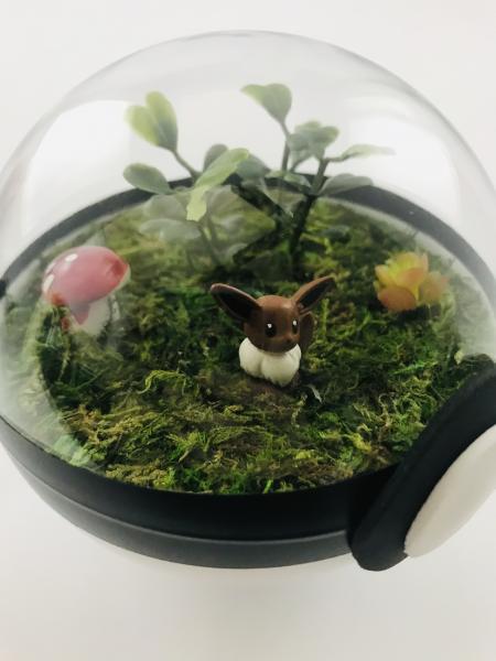 Eevee Small Pokeball Terrarium picture