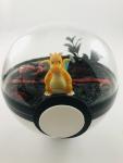 Dragonite Fire Large Pokeball Terrarium