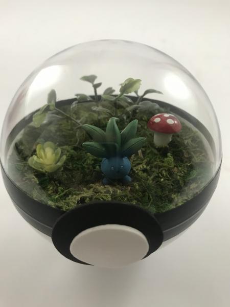 Oddish Pokeball Terrarium Small picture