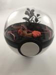 Sleeping Vulpix Fire Pokeball Terrarium