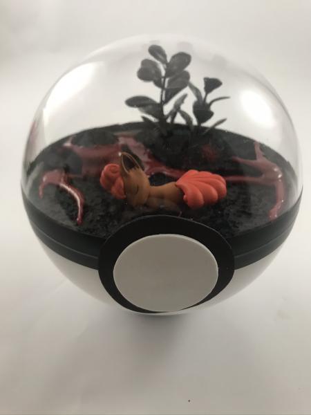 Sleeping Vulpix Fire Pokeball Terrarium picture