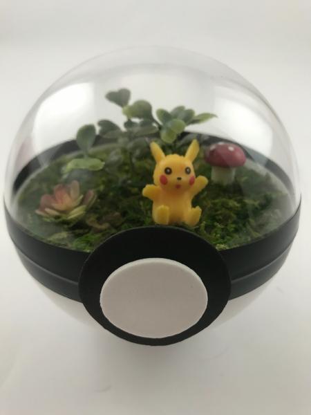 Pikachu Small Pokeball Terrarium