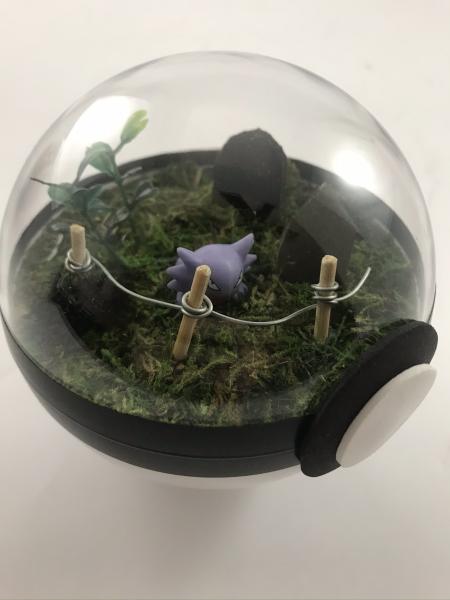 Haunter Small Pokeball Terrarium picture