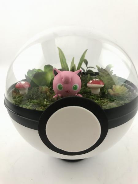 Jigglypuff Large Pokeball Terrarium picture