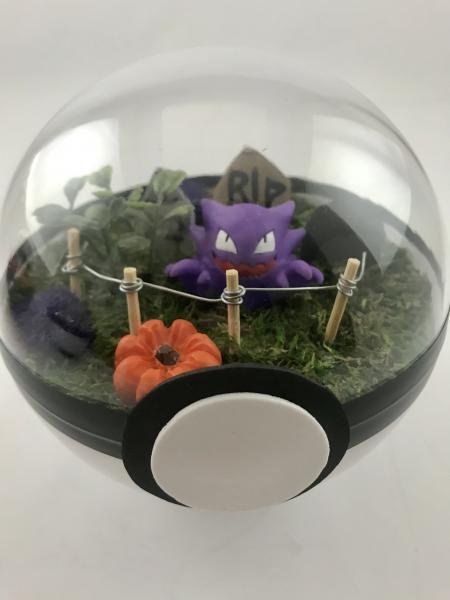 Haunter Cemetary Large Pokeball Terrarium