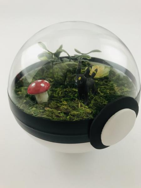 Umbreon Small Pokeball Terrarium picture