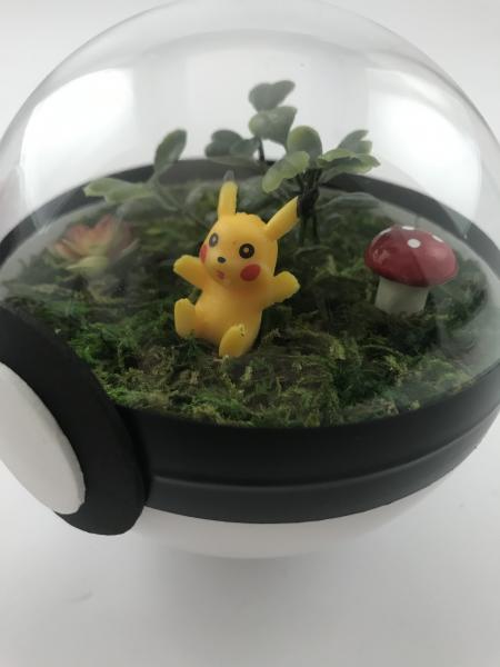 Pikachu Small Pokeball Terrarium picture