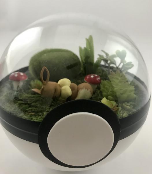 Sleeping Eevee Large Pokeball Terrarium picture