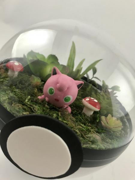 Jigglypuff Large Pokeball Terrarium picture