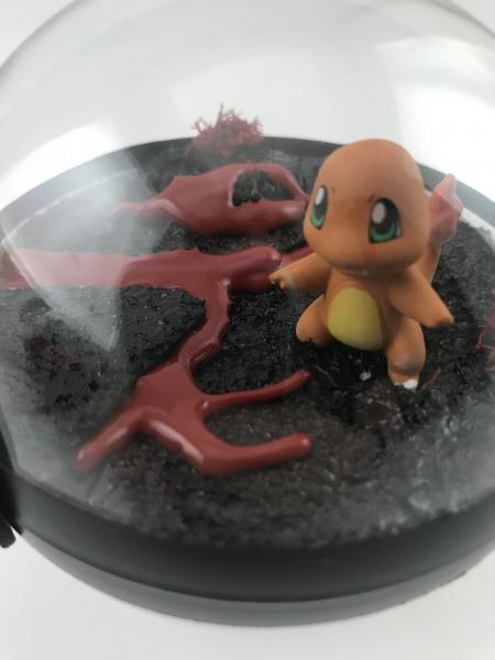 Charmander Fire Small Pokeball Terrarium picture