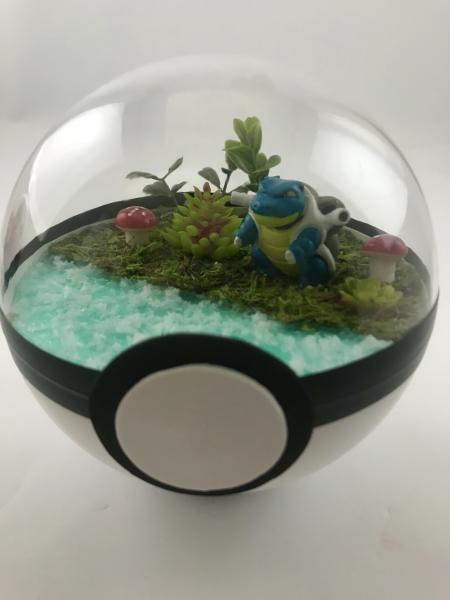 Blastoise Large Water Pokeball Terrarium