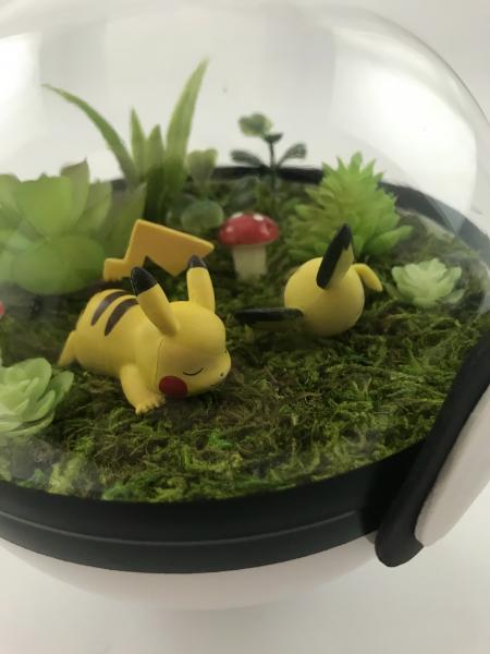 Pikachu and Pichu Large Pokeball Terrarium picture
