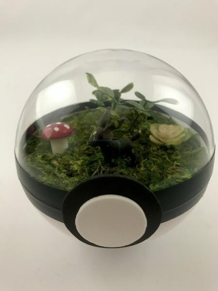 Umbreon Small Pokeball Terrarium