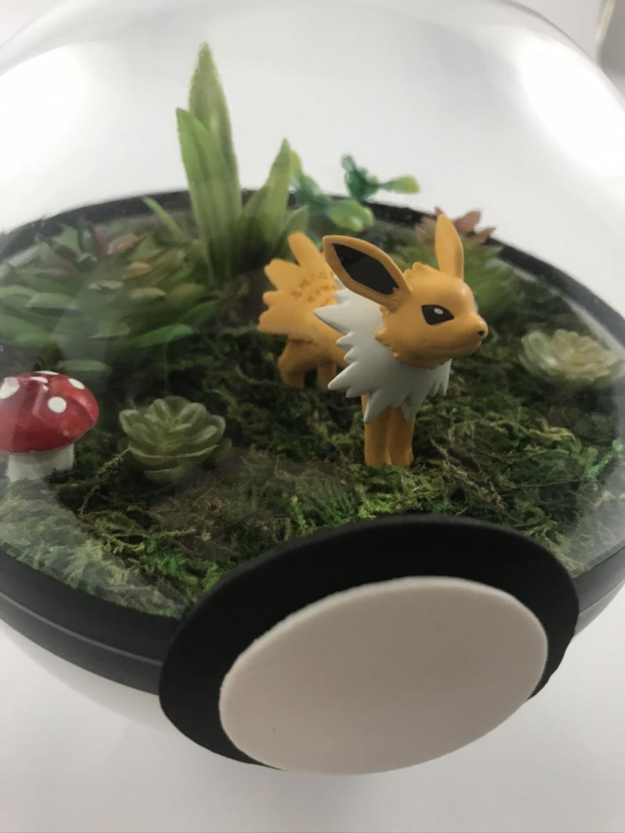 Jolteon Large Pokeball Terrarium picture