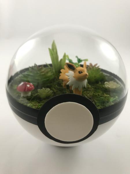 Jolteon Large Pokeball Terrarium