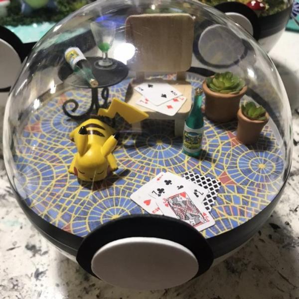 Pikachu Marriot Carpet Pokeball Pokemon Terrarium picture