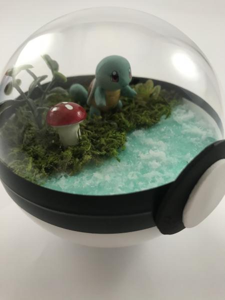 Squirtle Small Water Pokeball Terrarium picture